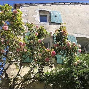 Meet your Posher, Chloe